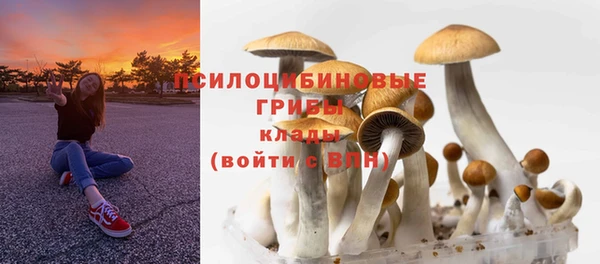 мяу мяу кристалл Инсар