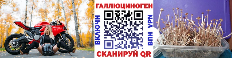 Псилоцибиновые грибы прущие грибы  наркота  Ессентукская 